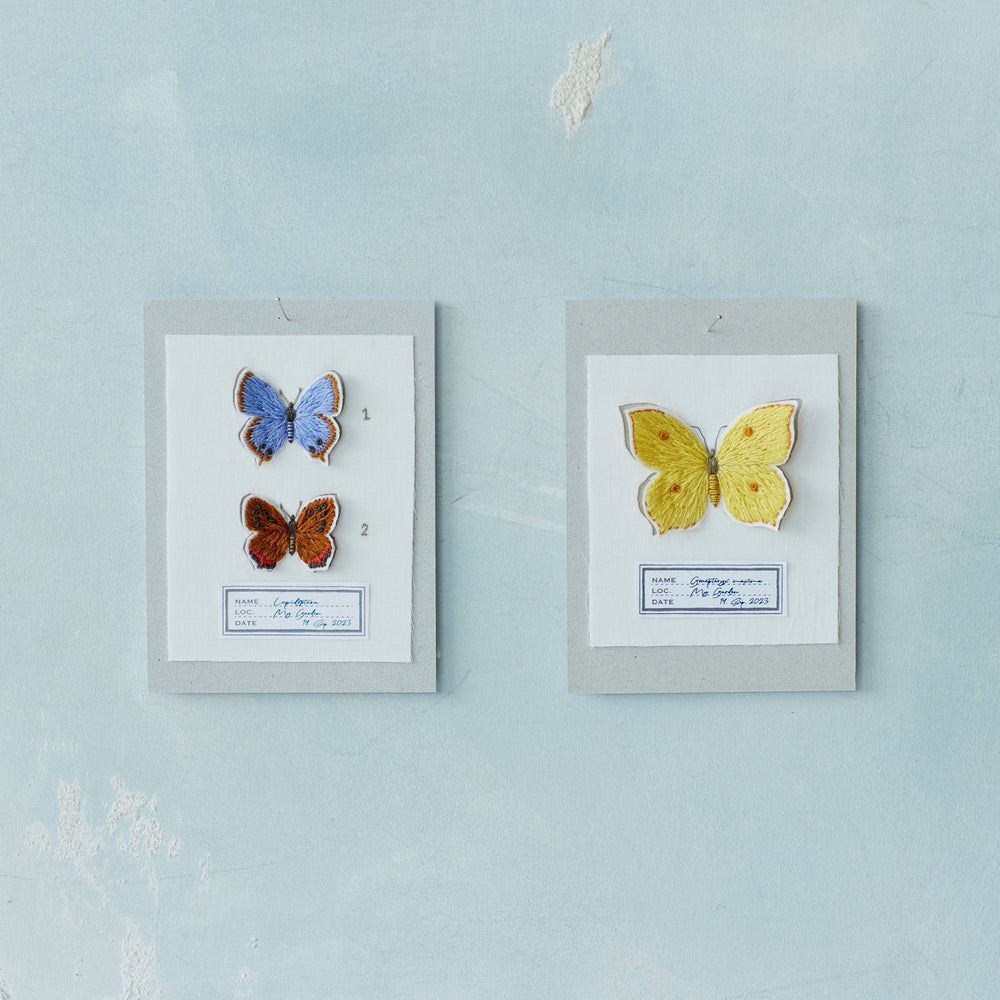 青木和子さんの刺しゅう　蝶の標本カード