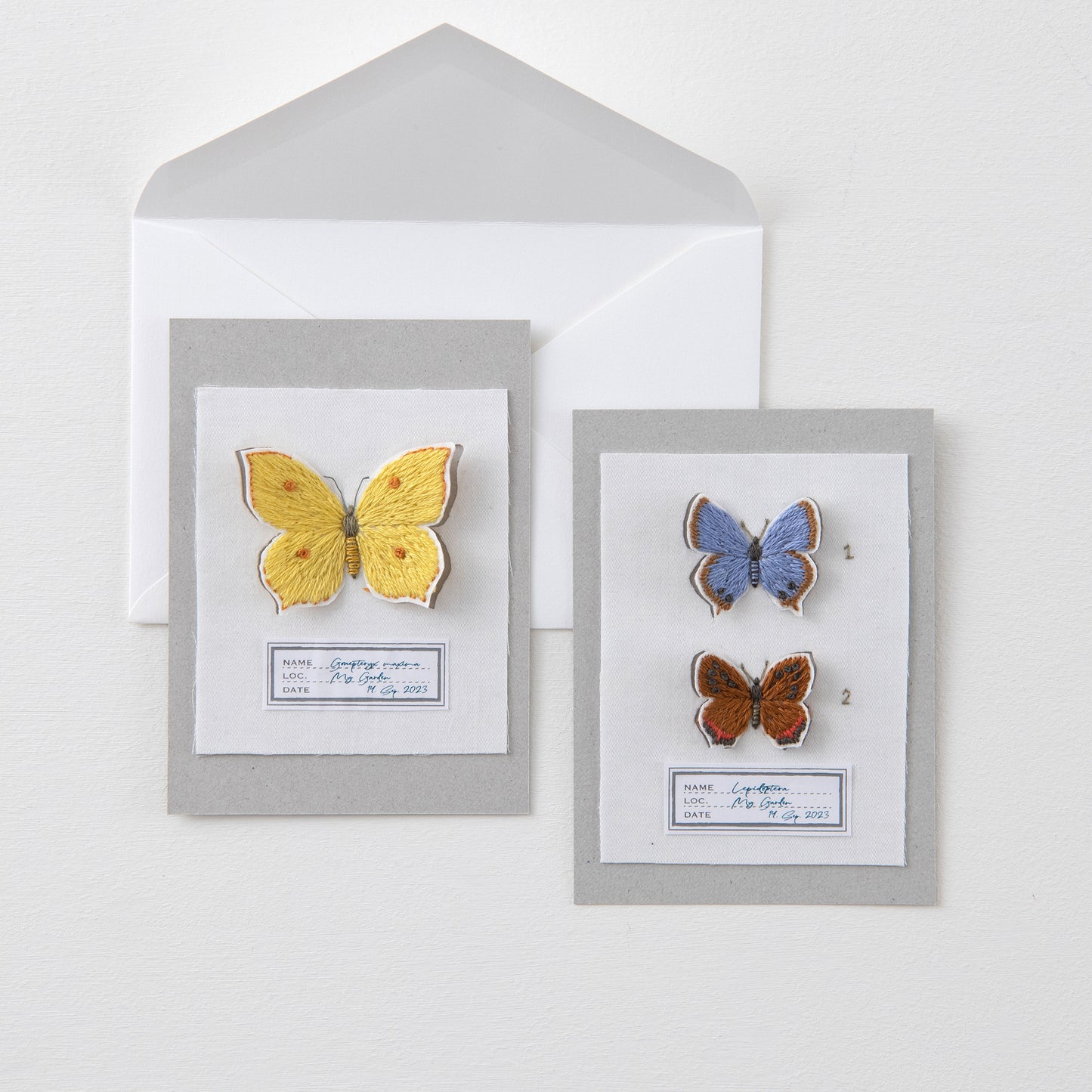 
                  
                    青木和子さんの刺しゅう　蝶の標本カード
                  
                
