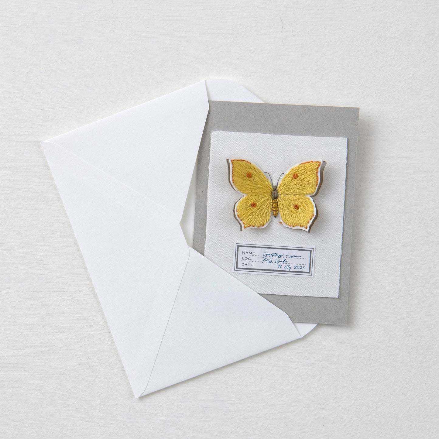 
                  
                    青木和子さんの刺しゅう　蝶の標本カード
                  
                
